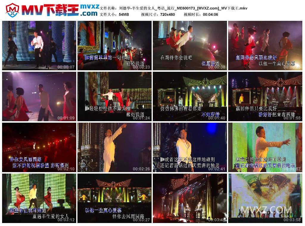 刘德华-半生爱的女人_粤语_流行_ME600173